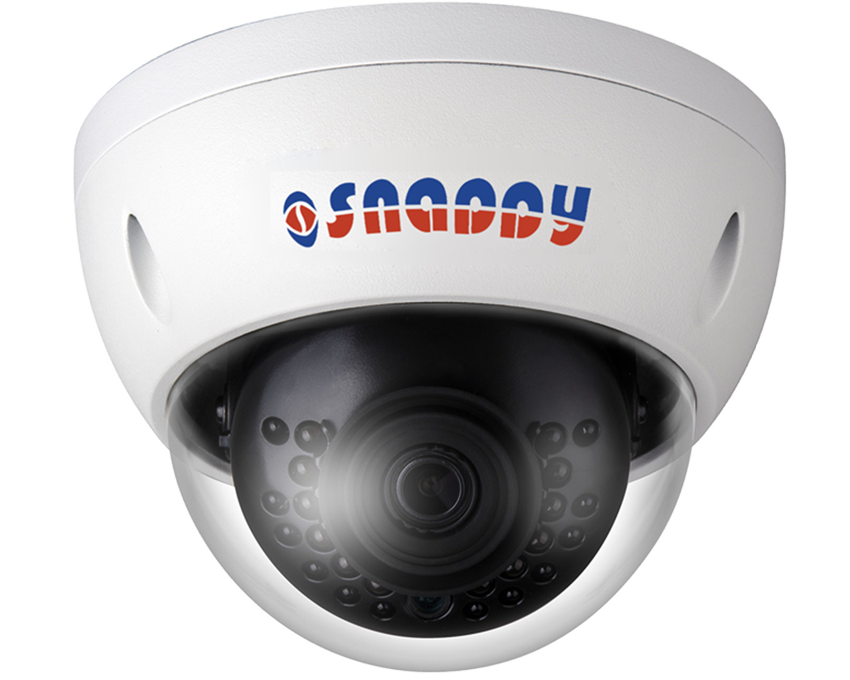 Mini Dome IR 2MP Camera