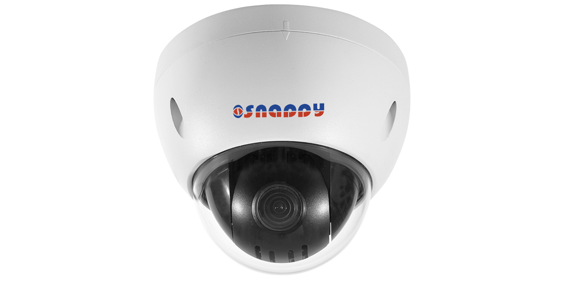 Dome 2MP Full HD Mini PTZ Camera